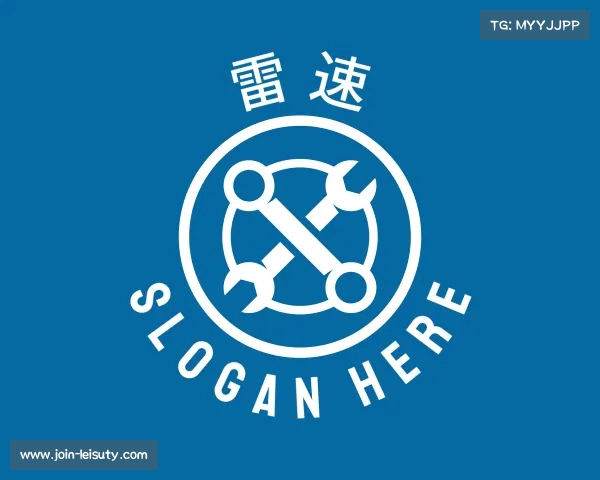 解读leisu